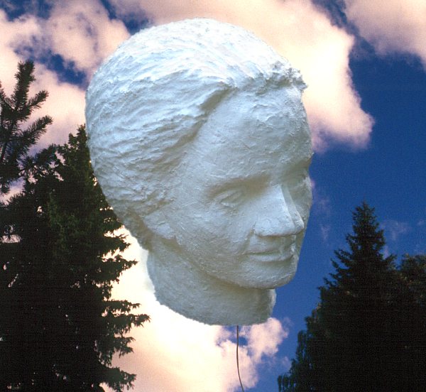 &copy; Kimmo Ojaniemi